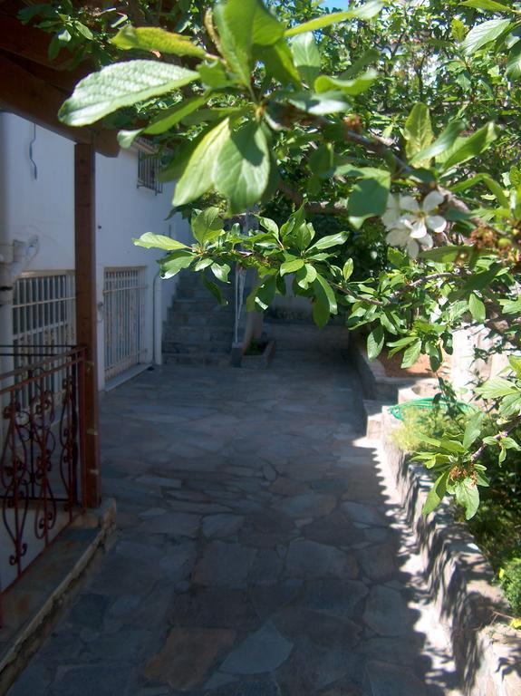 Вилла Athenian Spiti Луца Номер фото